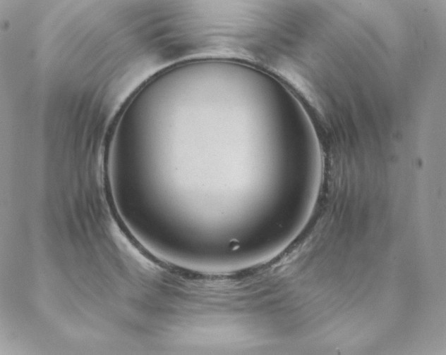 X0000089361468200706151121