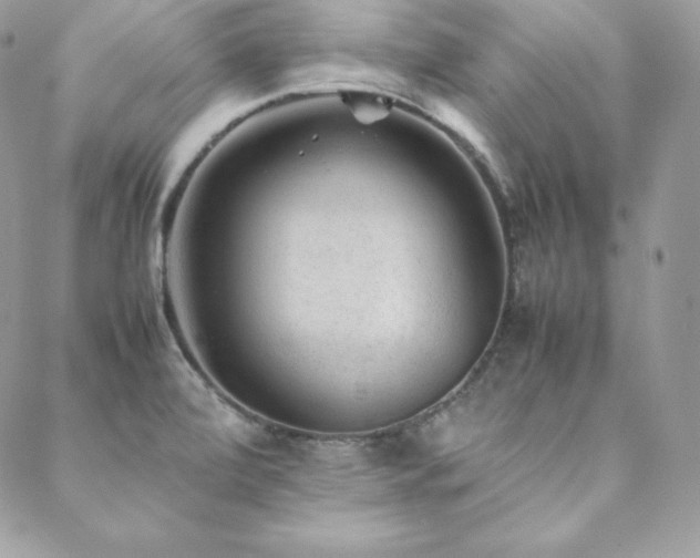 X0000089361472200706151121