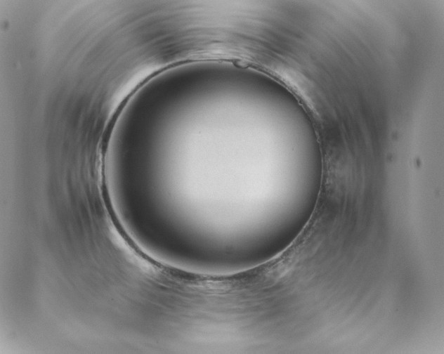 X0000089361476200706151121