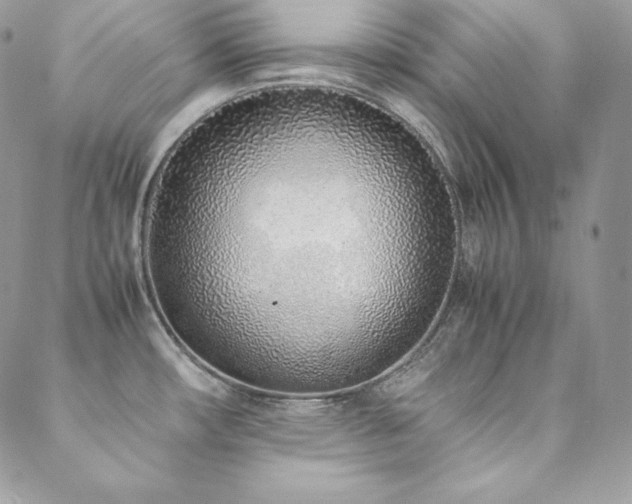 X0000089361482200706151121