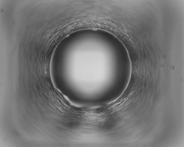 X0000089361490200706151120