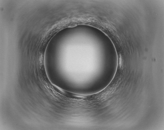 X0000089361492200706151120