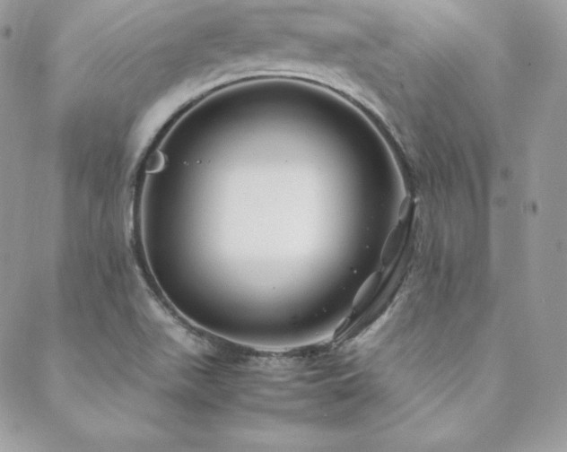 X0000089361511200706151120