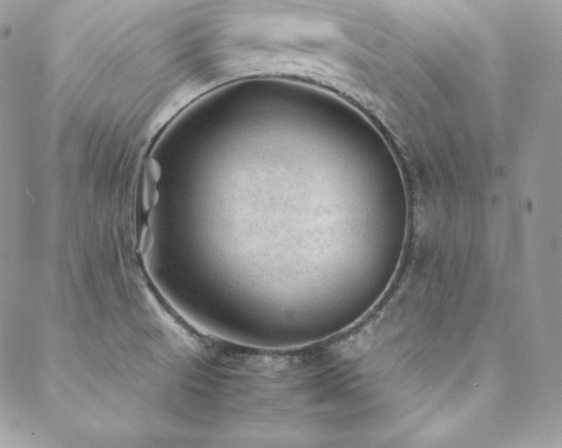X0000089361521200706151121