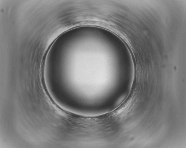 X0000089361533200706151121