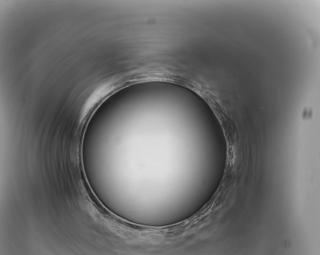 X0000089360004200706221210