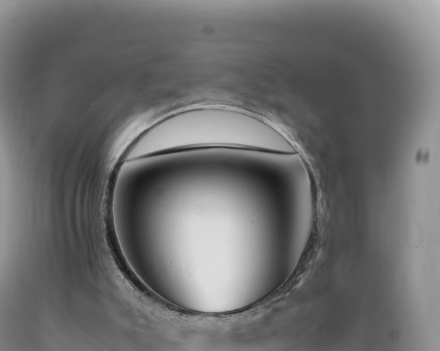 X0000089360007200706221210