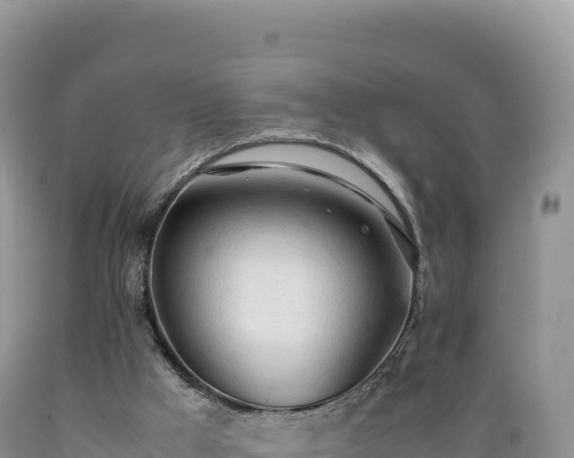 X0000089360009200706221210