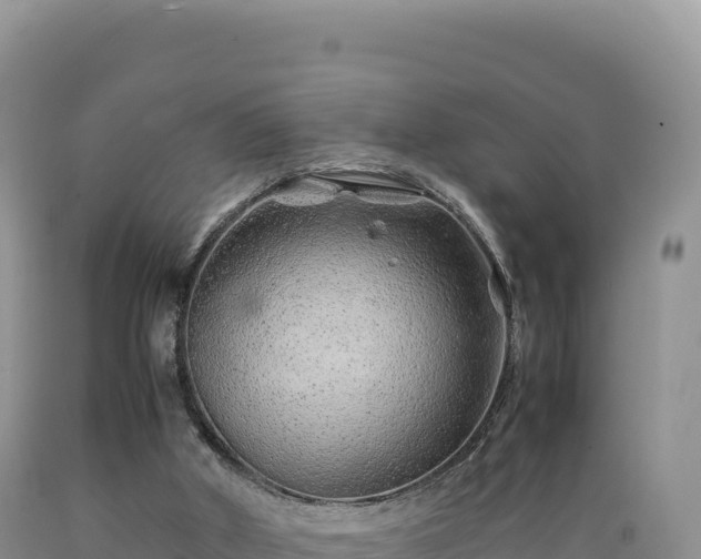 X0000089360010200706221210