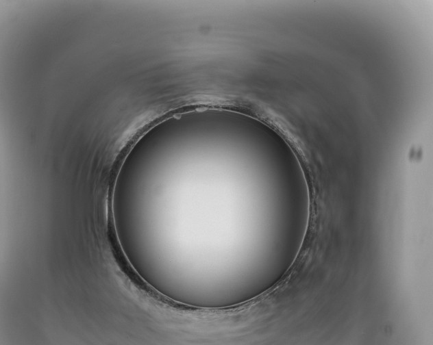 X0000089360011200706221210