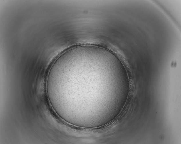 X0000089360012200706221210