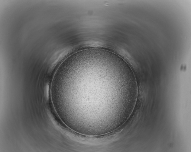 X0000089360014200706221210
