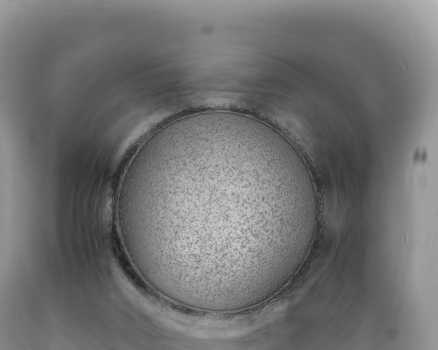X0000089360016200706221210