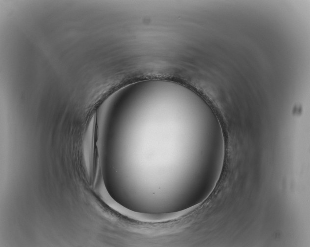 X0000089360017200706221210