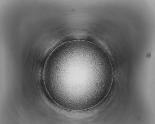 X0000089360018200706221210