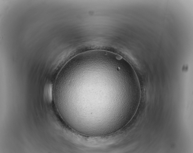 X0000089360022200706221209