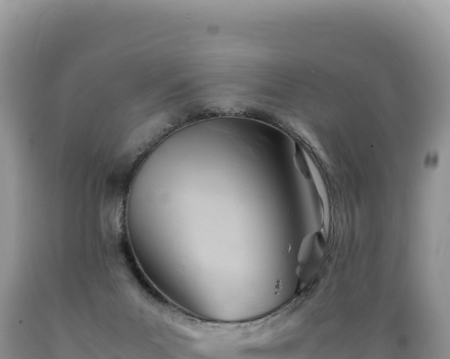 X0000089360023200706221209