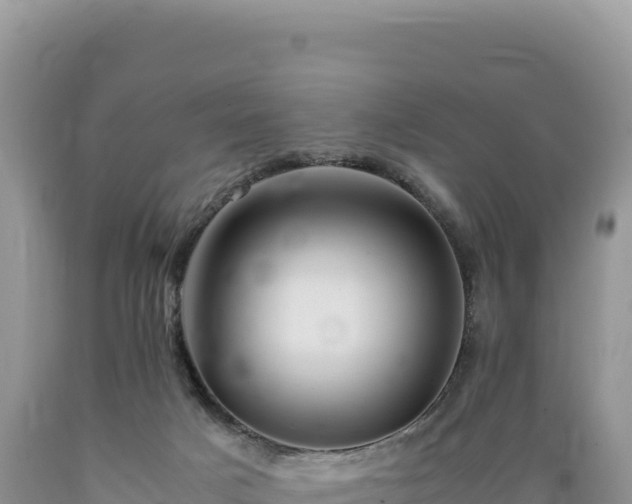X0000089360025200706221209