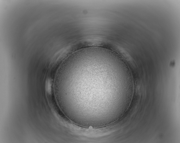 X0000089360026200706221209