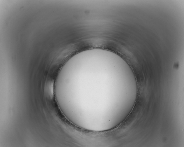 X0000089360028200706221209