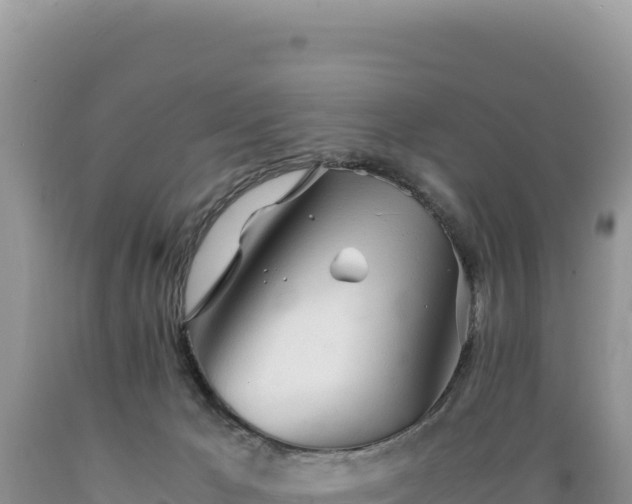 X0000089360029200706221209