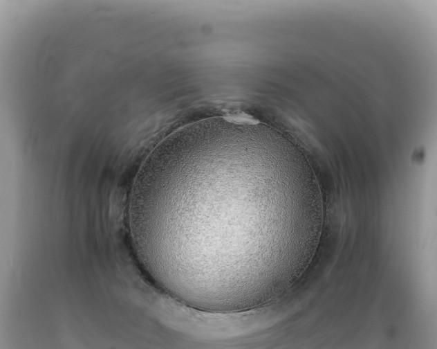 X0000089360030200706221209