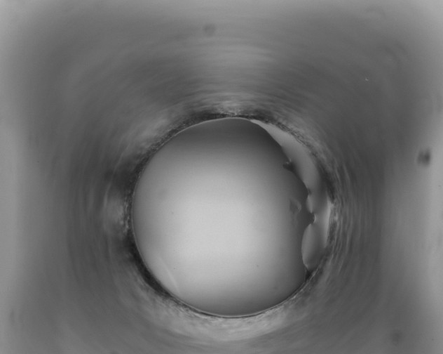 X0000089360031200706221209