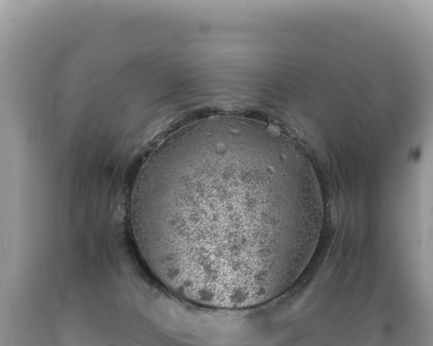 X0000089360032200706221209