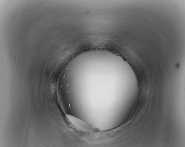 X0000089360033200706221209