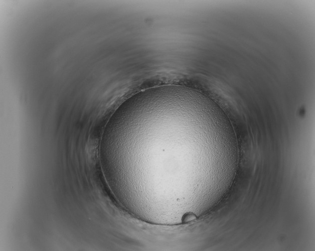 X0000089360034200706221209