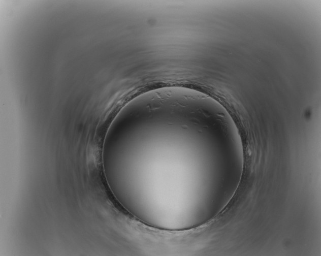 X0000089360035200706221209