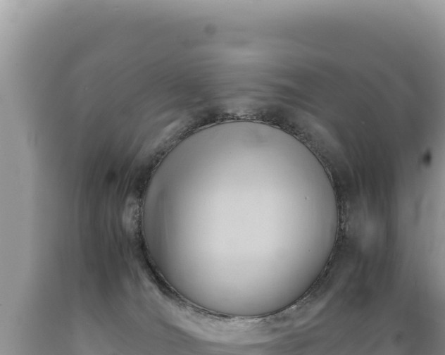 X0000089360036200706221209