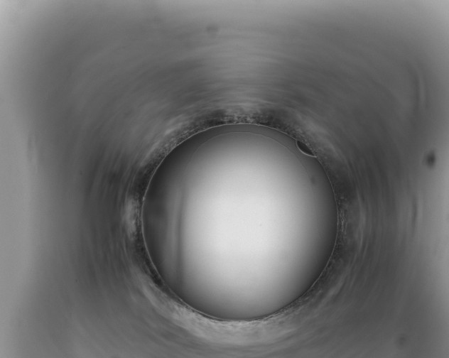 X0000089360038200706221209