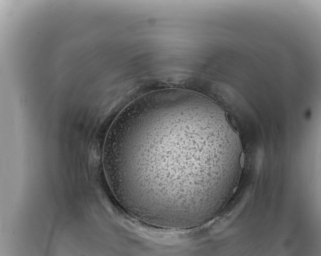 X0000089360040200706221209