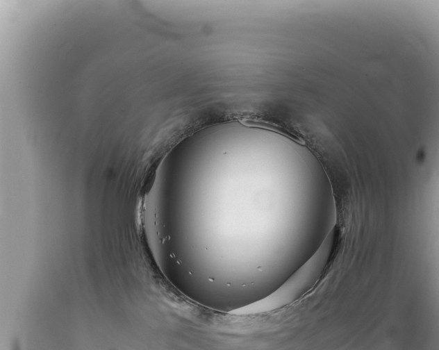 X0000089360041200706221209