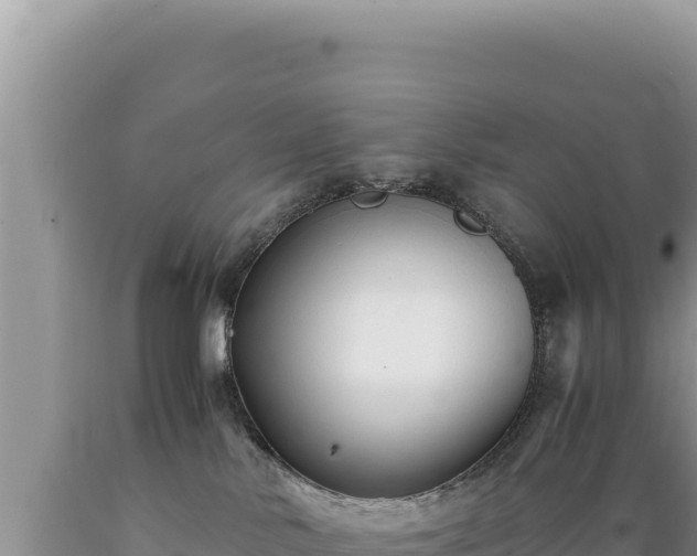 X0000089360042200706221209