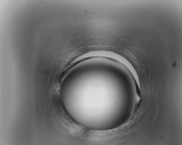 X0000089360045200706221209