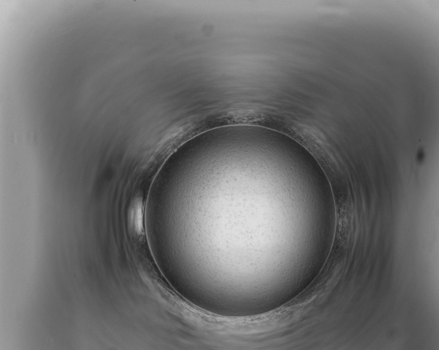 X0000089360046200706221209