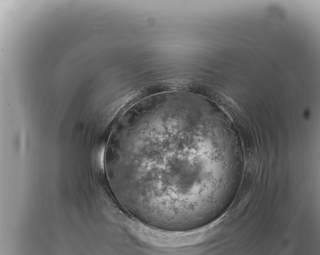 X0000089360047200706221209