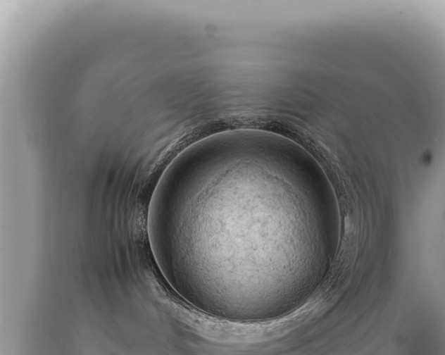 X0000089360048200706221209