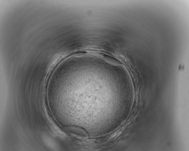 X0000089360049200706221209