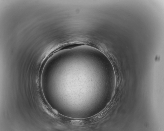 X0000089360050200706221209