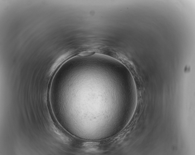 X0000089360051200706221209
