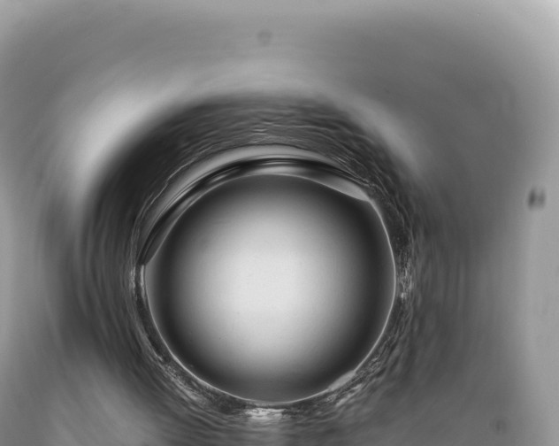 X0000089360052200706221209