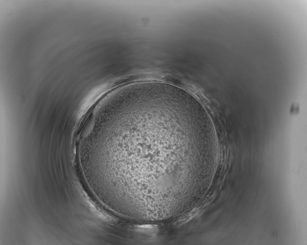 X0000089360053200706221209