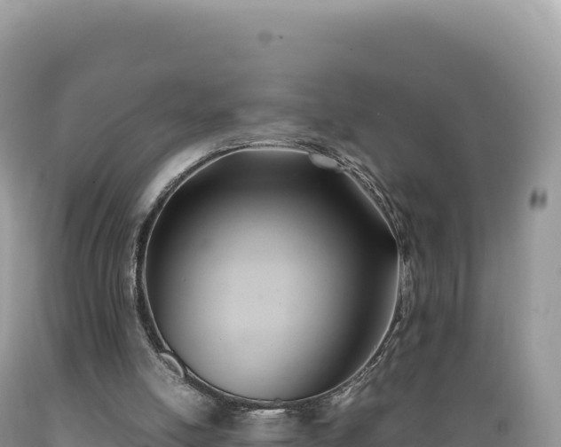 X0000089360054200706221209