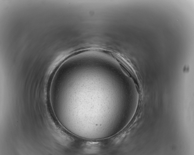 X0000089360055200706221209