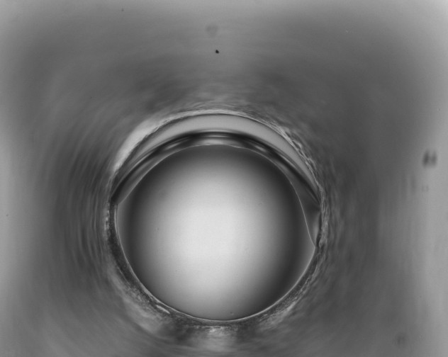 X0000089360056200706221209