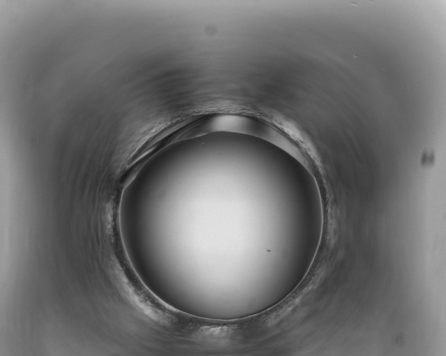 X0000089360057200706221209