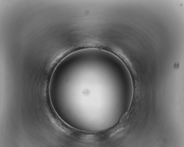 X0000089360058200706221209